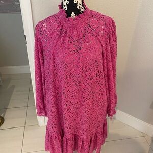 JCrew Elegant Pink Lace Dress XL